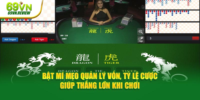 Bật mí cách chơi Rồng Hổ quản lý vốn, tỷ lệ cược giúp thắng lớn khi chơi