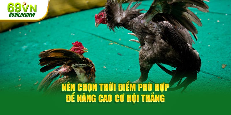 Nên chọn thời điểm phù hợp để nâng cao cơ hội thắng